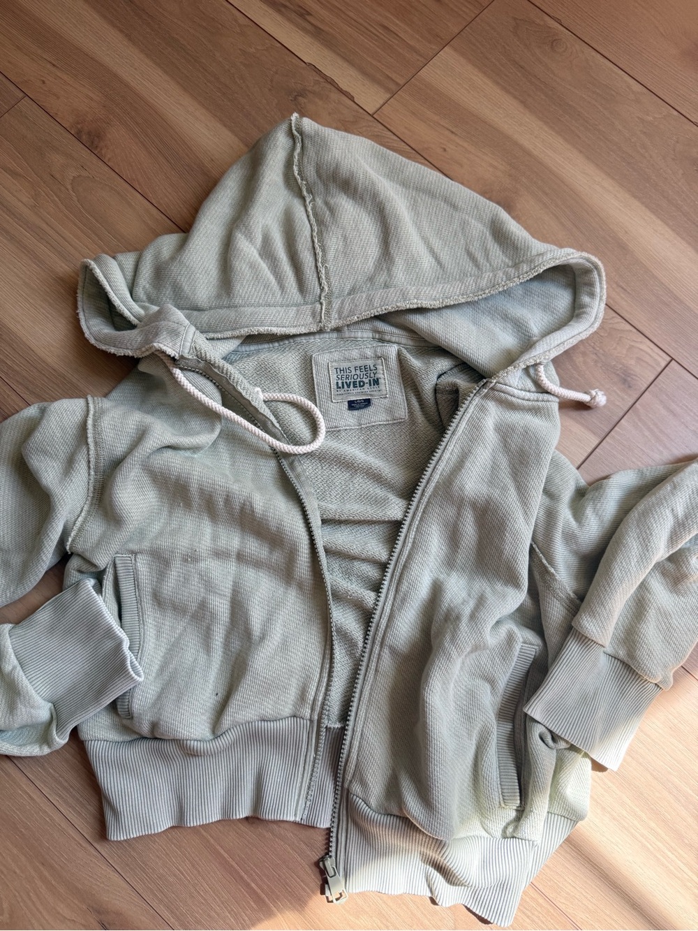 American Eagle Outfitters Sage Green Zip-Up Hoodie